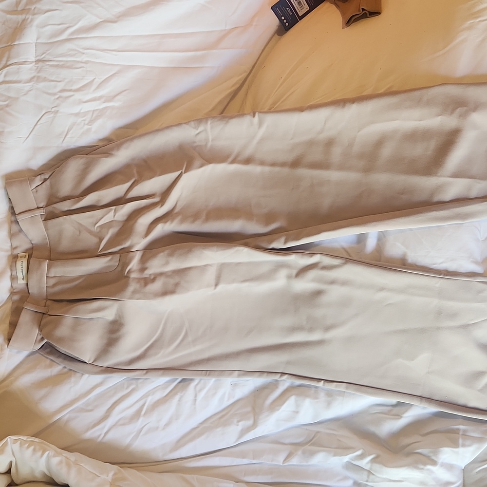 Wide leg dress pants